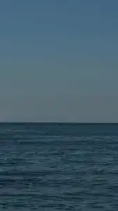 Лайтхаус - 44