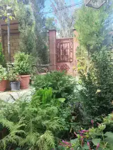 Лавандин - 36