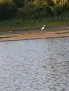 На Вазузу - 29