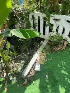 Фламинго - 83