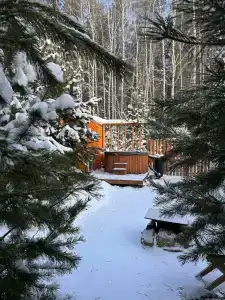 Introvert House - 32