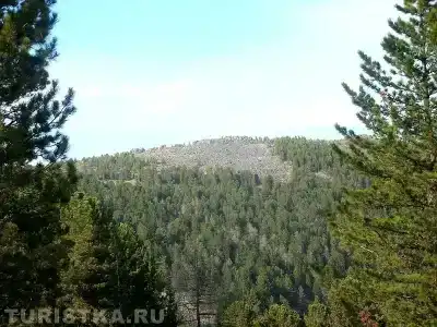 Вера - 17