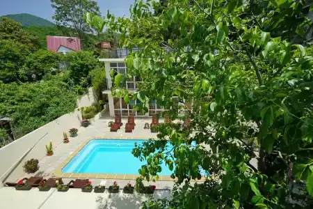 Пальмира - 6