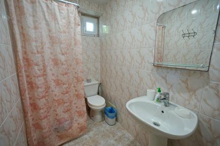 Пальмира - 46