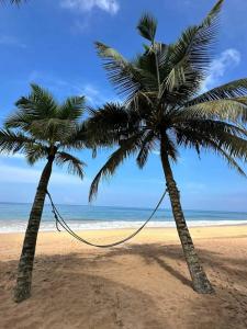 Oasey Beach - 91
