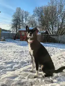 Родные просторы - 74