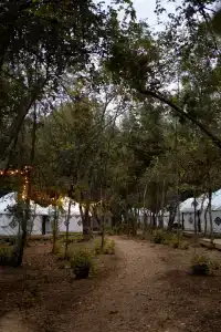 Юрта-парк на острове - 5