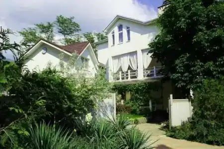 Рассвет - 1