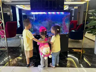 King Plaza - 34