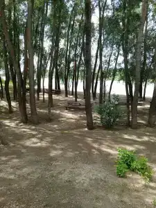 Дон 5 озёр - 44