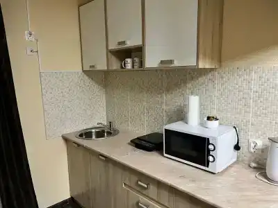 Две берёзки - 41