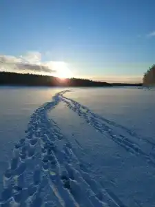 НаСегозеро - 24