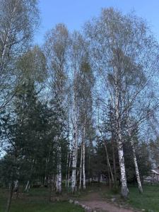 Южный Парк - 18