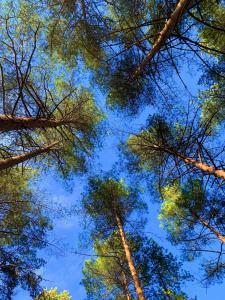 Дом Zarechye с русской баней и горячей купелью - 25