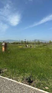 Эко-домики у моря - 39