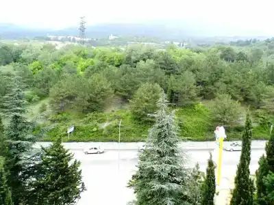 Мотель № 5 - 10