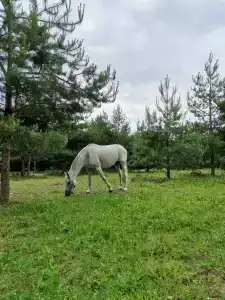 Круиз Вилладж - 82