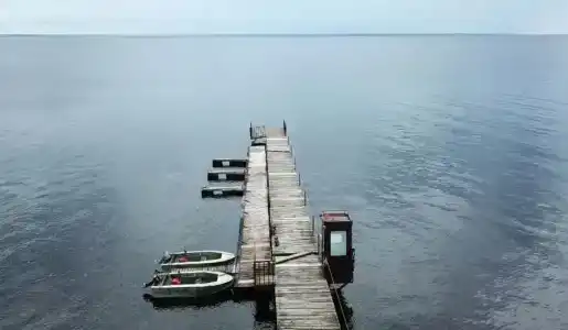 Big Fish - 1