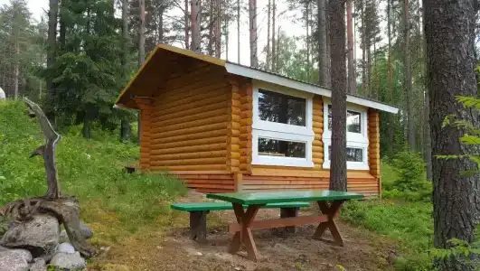 Лесной двор - 1