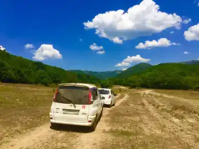 Волшебные поляны - 2
