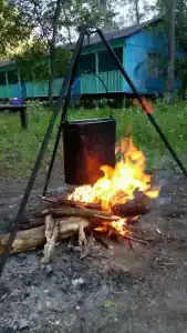 Дубовая Грива - 13