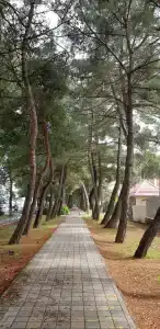 Luxury House - 11