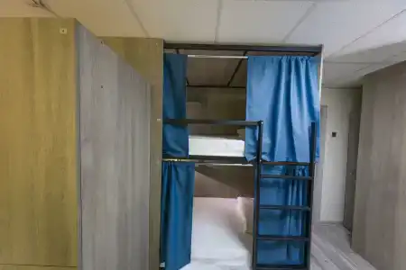 Дельфин - 14