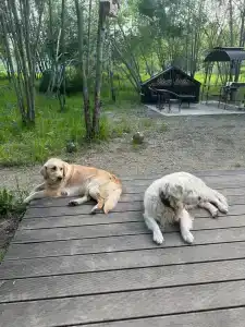 Парк Север - 49