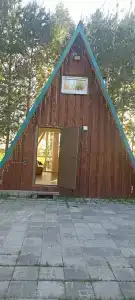 Золотой фазан - 49