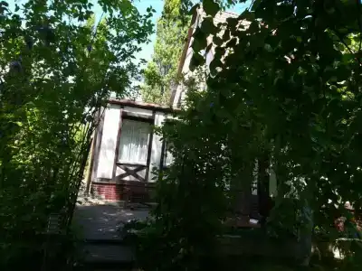 Скворечник - 71