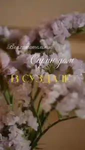 Сирин дом - 98