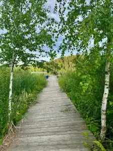 Хутор Ярви - 44