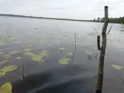 Слободское - 6