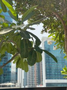 Sonder Business Bay - 12