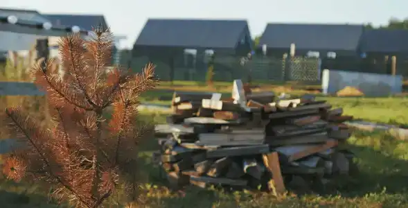 Русский - 48