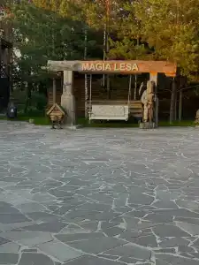 Магия леса - 37