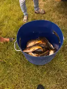 Широкая балка - 80