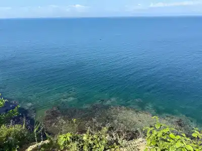 Полосатик - 10