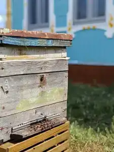 Хвалынская усадьба - 26