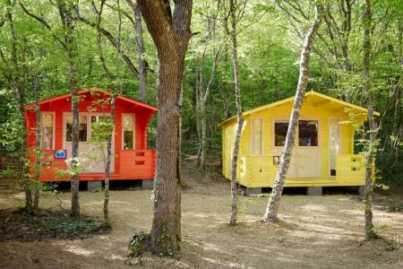 Эколоджия - 7