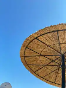 7 континент - 6