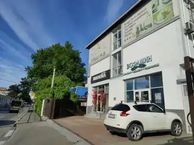 Абрикос Плюс - 2