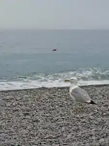 На ладони - 23