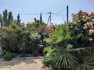 Мини-гостиница Гавайи - 48