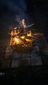 Лесной уголок - 36