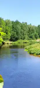 Тайга - 13