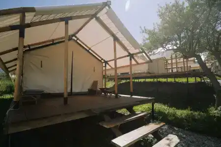 Сафари Парк - 21
