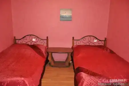 Славянка - 20