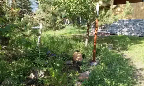 Шишкин лес - 10