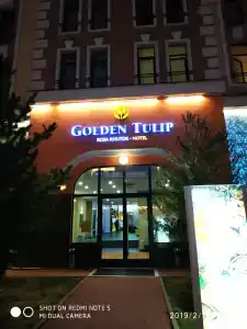 Голден Тюлип - 88